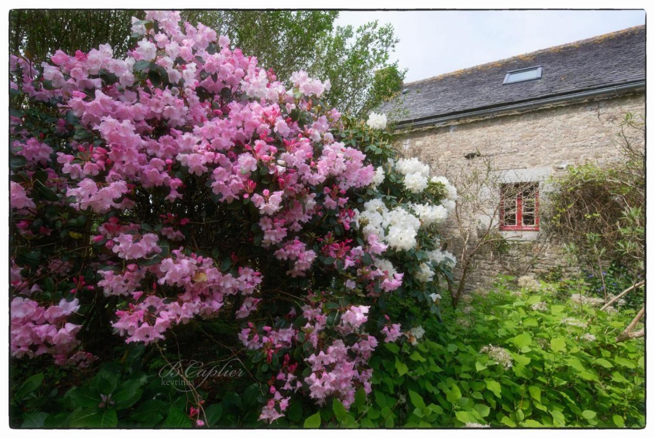 Manoir Pors Braz B&B Commana Exteriör bild